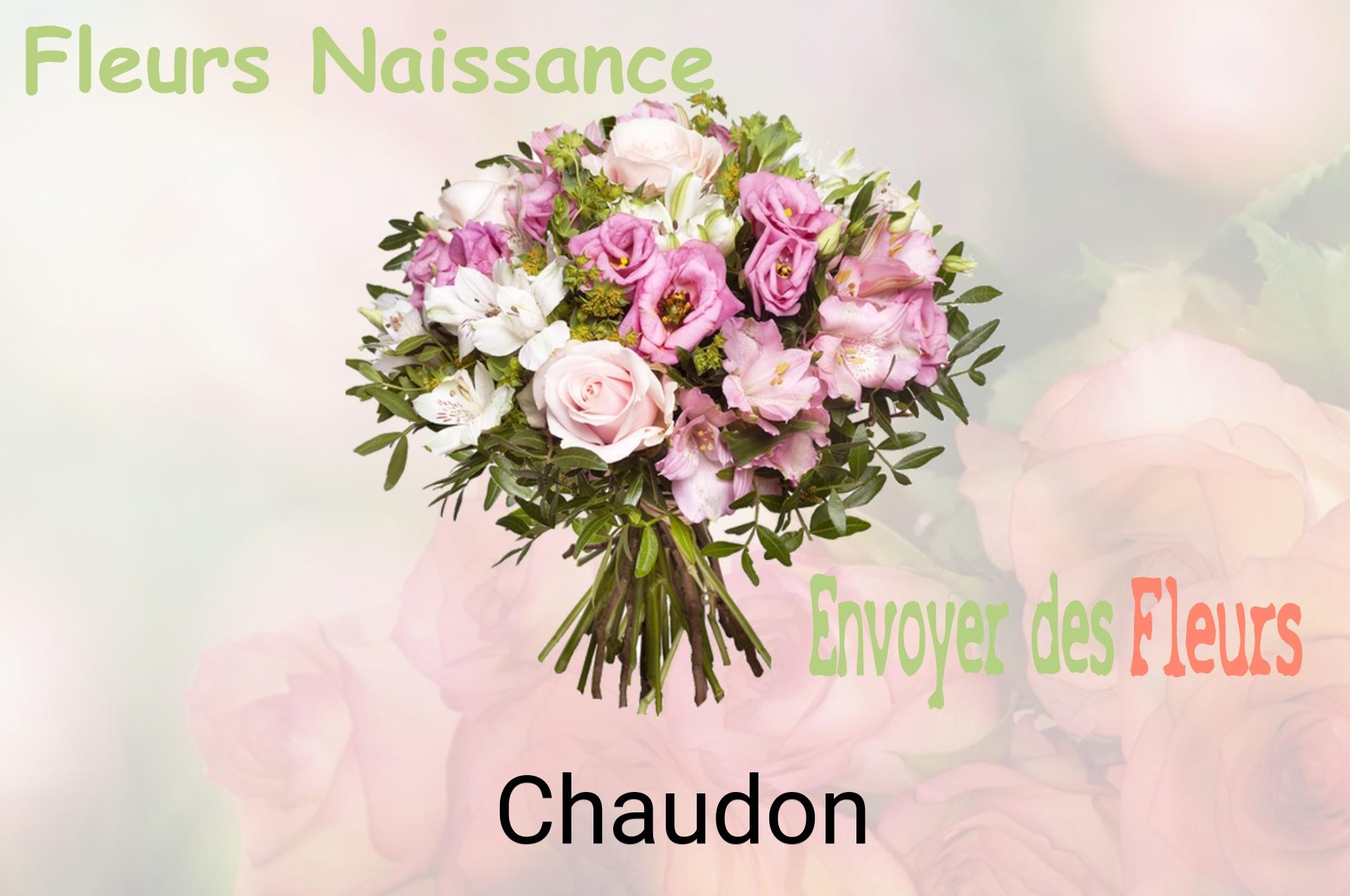 Bouquet de fleurs de naissance livré à Chaudon